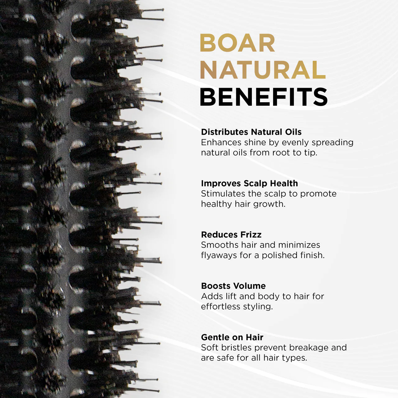 COCCO® Black Series Ceramic Boar Brush (Select Size) - Image 3